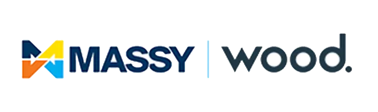 Messy wood logo